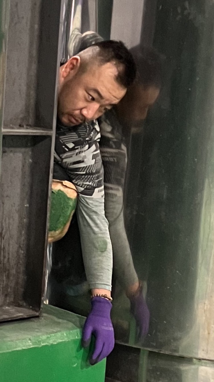 施工事例6